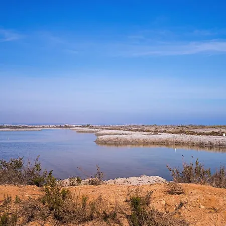 Διαμέρισμα Vanillla